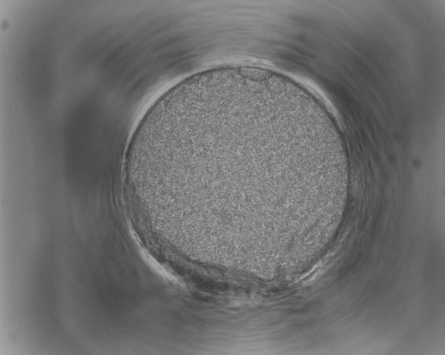 X0000067910903200605111939