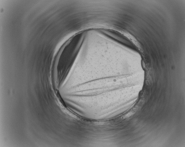 X0000067910904200605111939