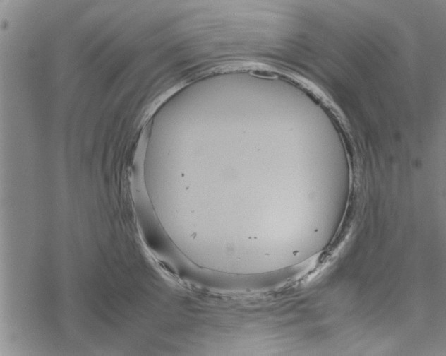 X0000067910905200605111939