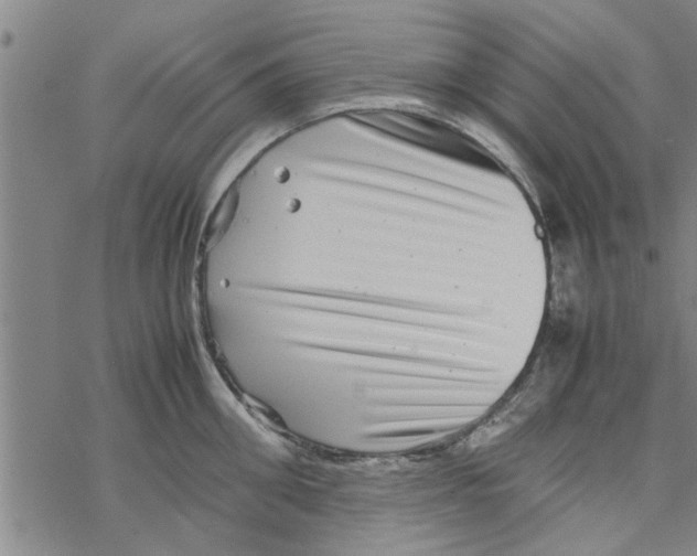 X0000067910906200605111939