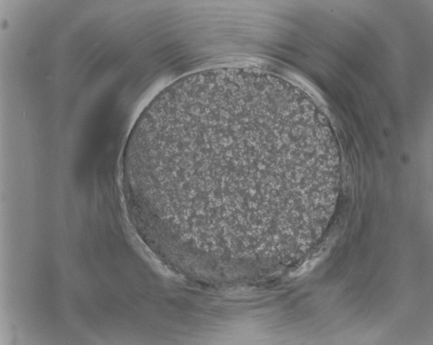 X0000067910907200605111939