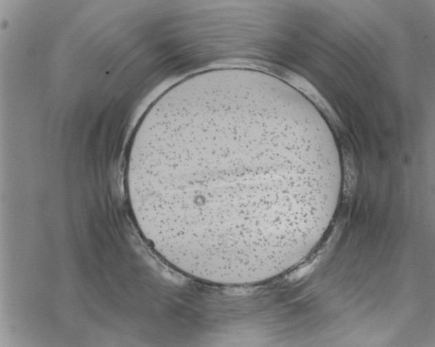 X0000067910908200605111939