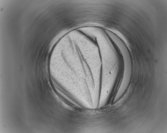 X0000067910910200605111939