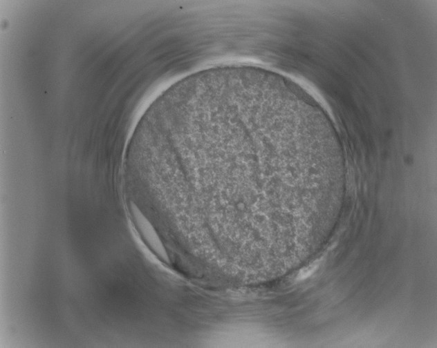 X0000067910911200605111939