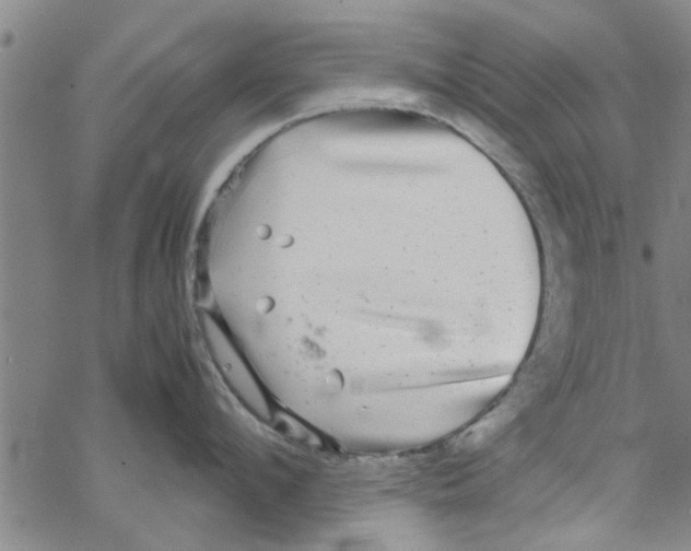 X0000067910912200605111939