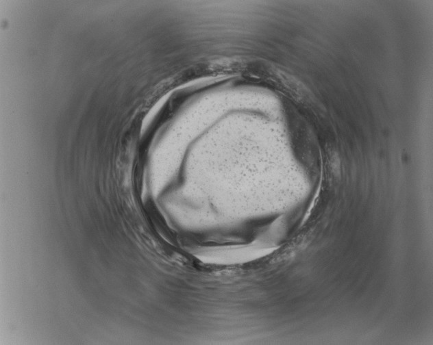 X0000067910914200605111939