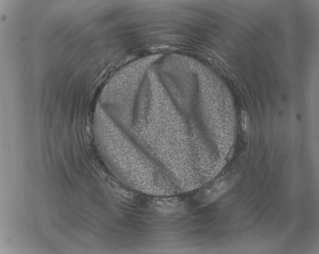 X0000067910915200605111939