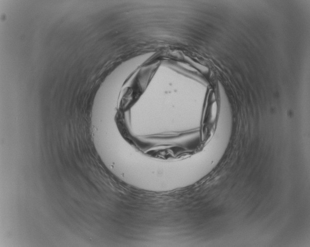 X0000067910916200605111939