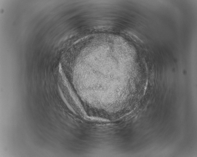 X0000067910917200605111939