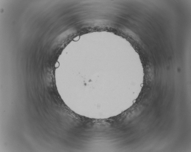 X0000067910918200605111939