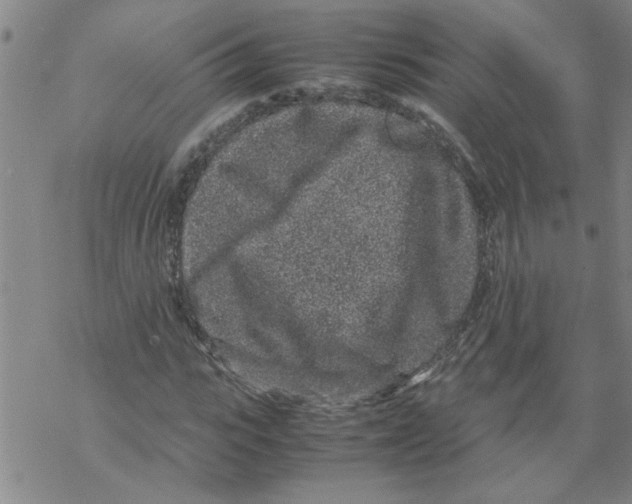 X0000067910919200605111939