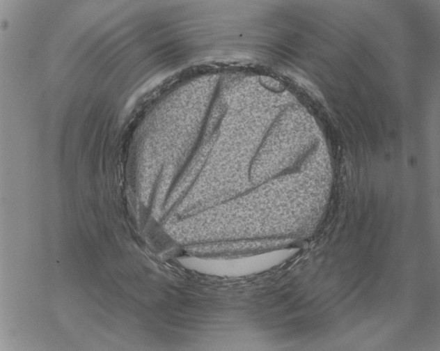 X0000067910920200605111939