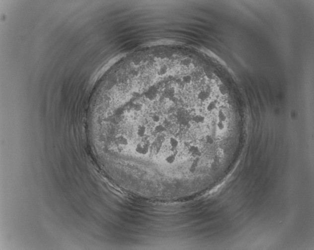 X0000067910921200605111939