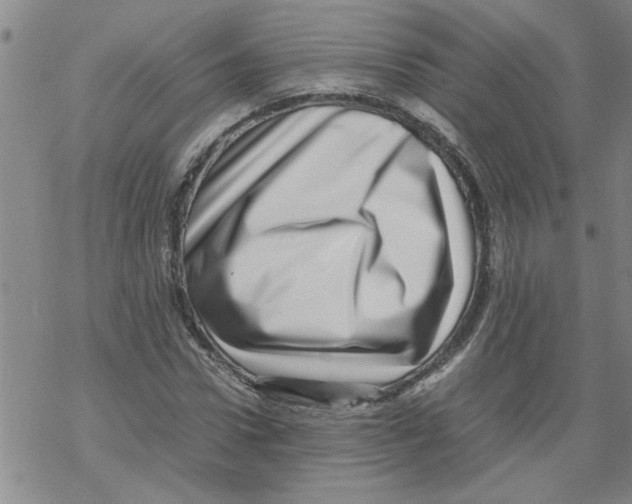 X0000067910922200605111939