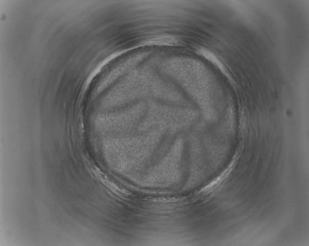 X0000067910923200605111939