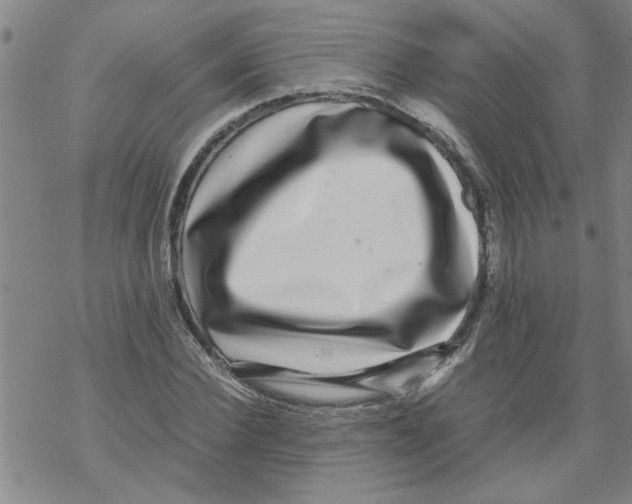 X0000067910924200605111939