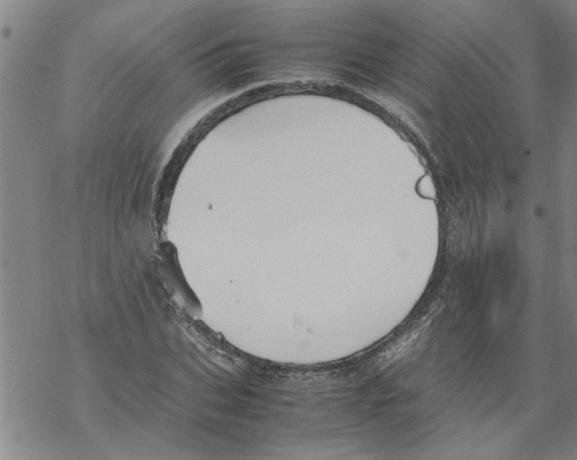 X0000067910927200605111939