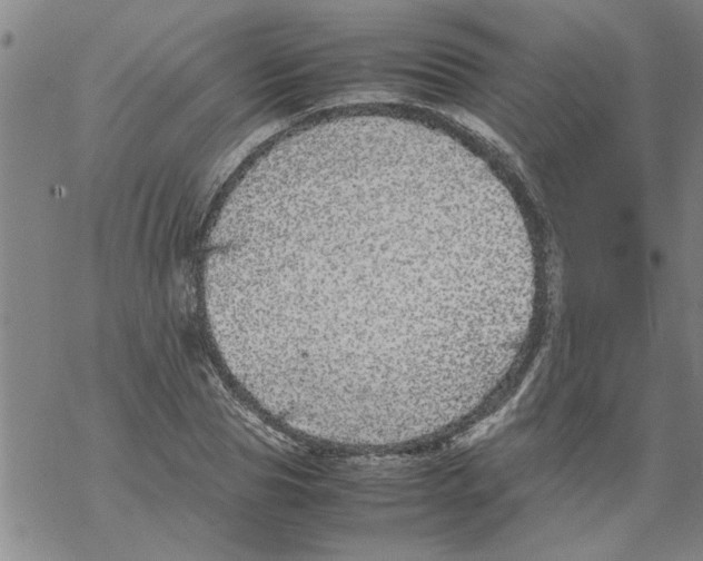 X0000067910929200605111939