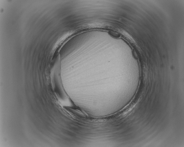 X0000067910930200605111939