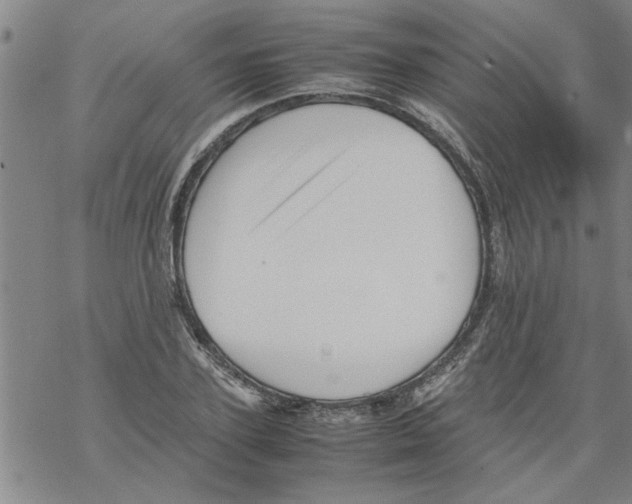 X0000067910931200605111939