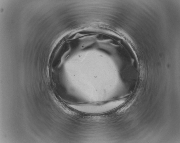 X0000067910932200605111939