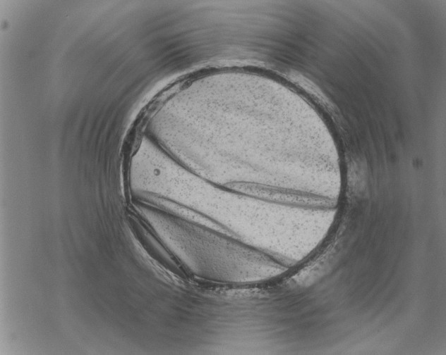 X0000067910934200605111939