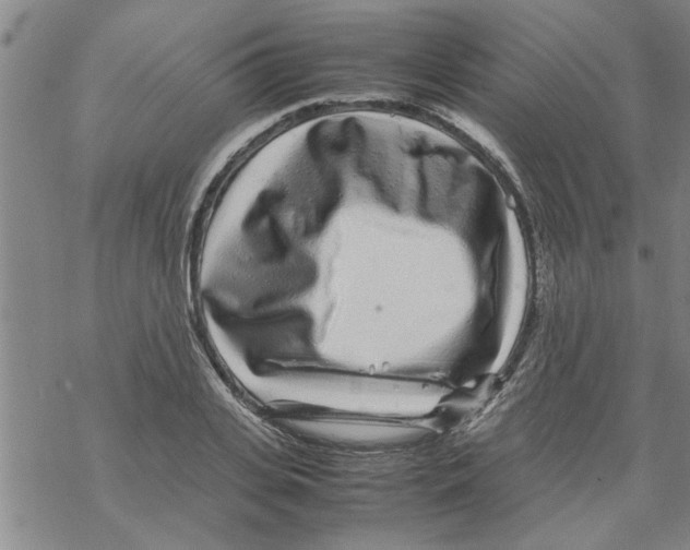 X0000067910935200605111939