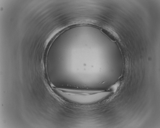 X0000067910936200605111939