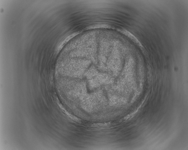 X0000067910937200605111939