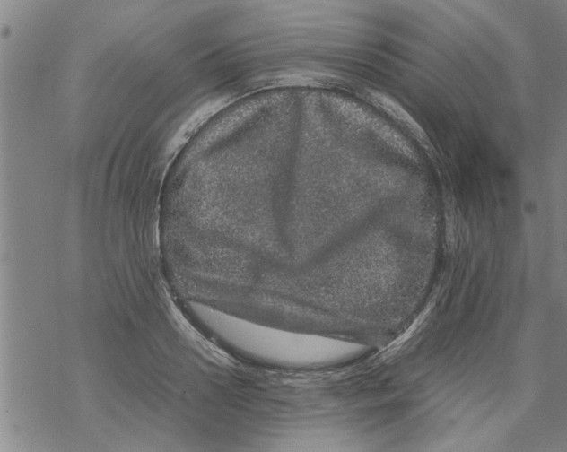 X0000067910938200605111939