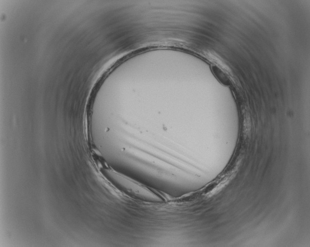 X0000067910940200605111939