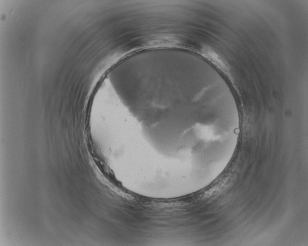 X0000067910941200605111939