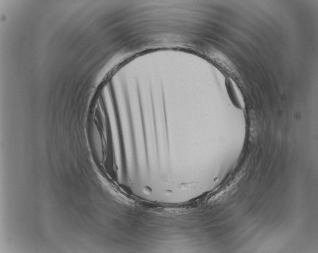 X0000067910942200605111939