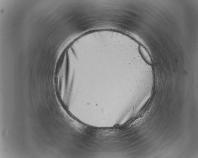 X0000067910943200605111939