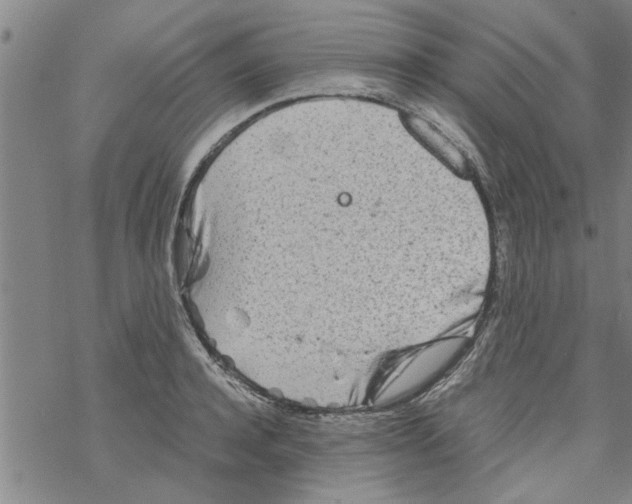 X0000067910944200605111939