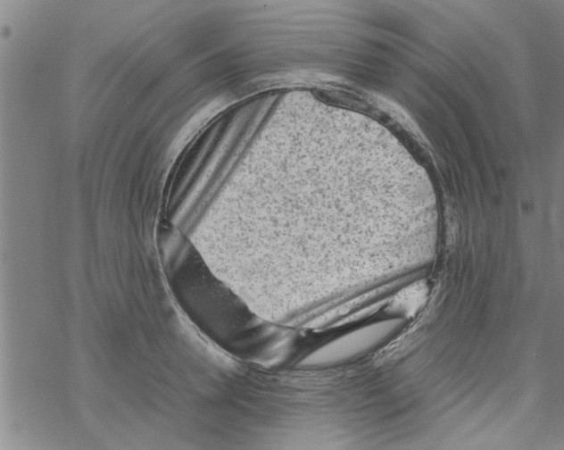 X0000067910946200605111939