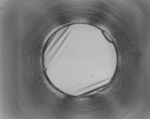 X0000067910947200605111939