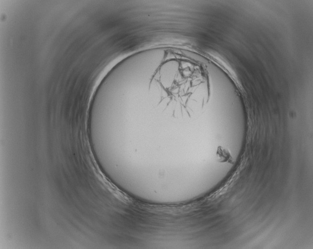 X0000067910948200605111939