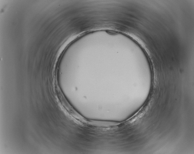 X0000067910949200605111939