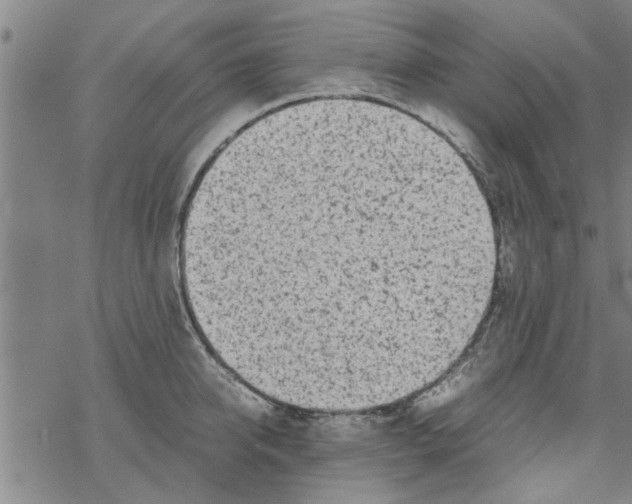 X0000067910950200605111939