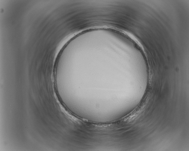 X0000067910951200605111939