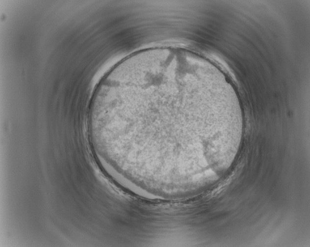 X0000067910952200605111939