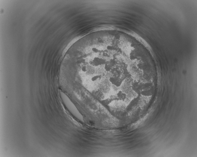 X0000067910953200605111939