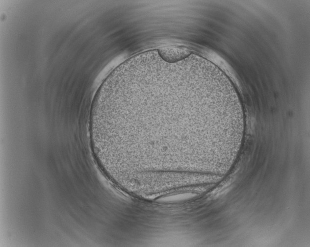 X0000067910954200605111939