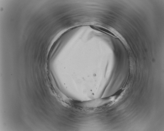 X0000067910956200605111939