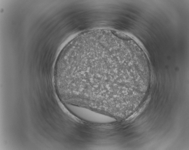 X0000067910957200605111939