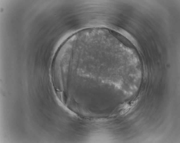 X0000067910958200605111939