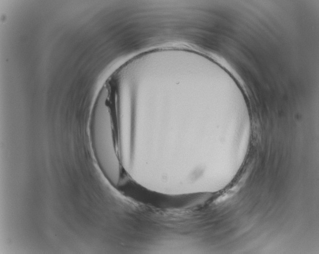 X0000067910959200605111939