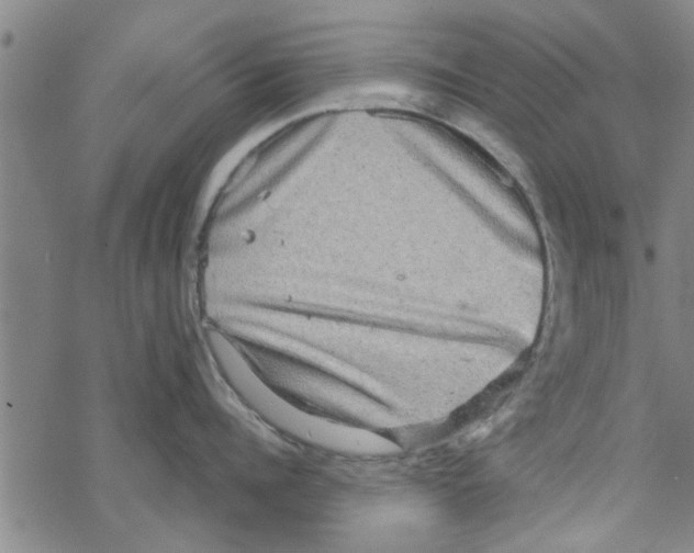 X0000067910960200605111939