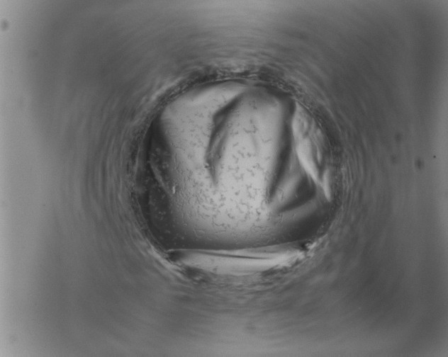 X0000067910961200605111938